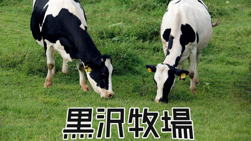 黒沢牧場 のノンホモ牛乳 おうちで簡単バターづくり Travel Japan うろうろ海南