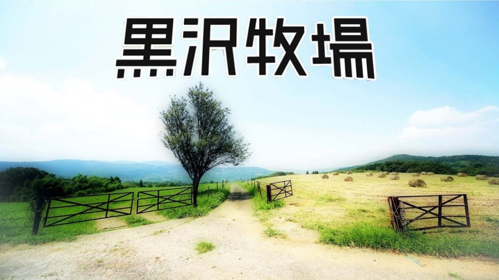 黒沢牧場の放牧育ち "やさしい牛乳" ノンホモ低温殺菌 Travel Japan うろうろ海南