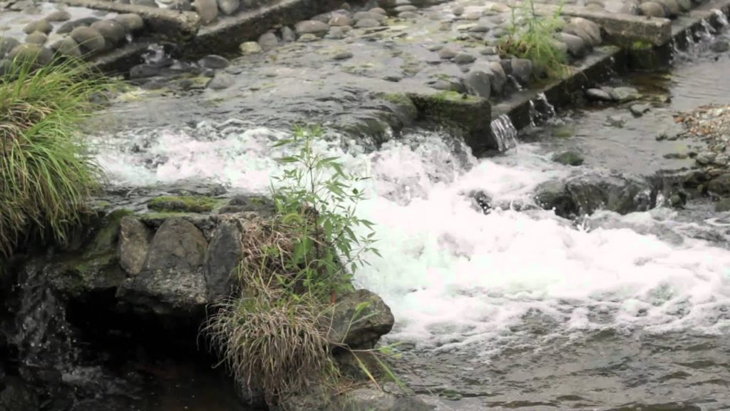 Rivers in Japan? Sights and sounds of a Japanese river [HD]