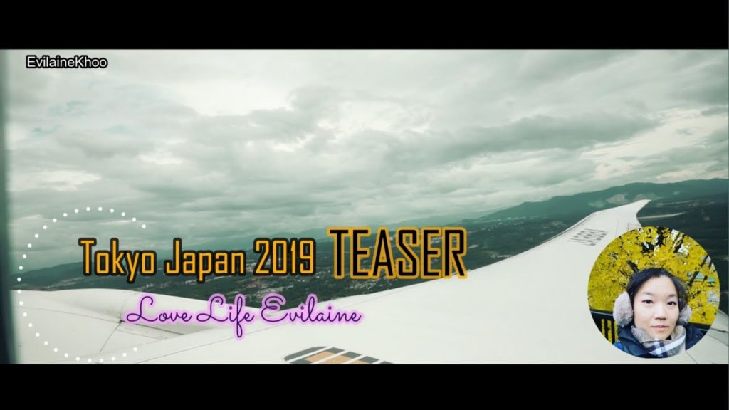 Tokyo Japan 2019 Teaser |  2019 日本东京游记抢先看 | Tokyo Kawaguchiko in 5 Mins ~ 5分钟游东京河口湖 | EvilaineKhoo