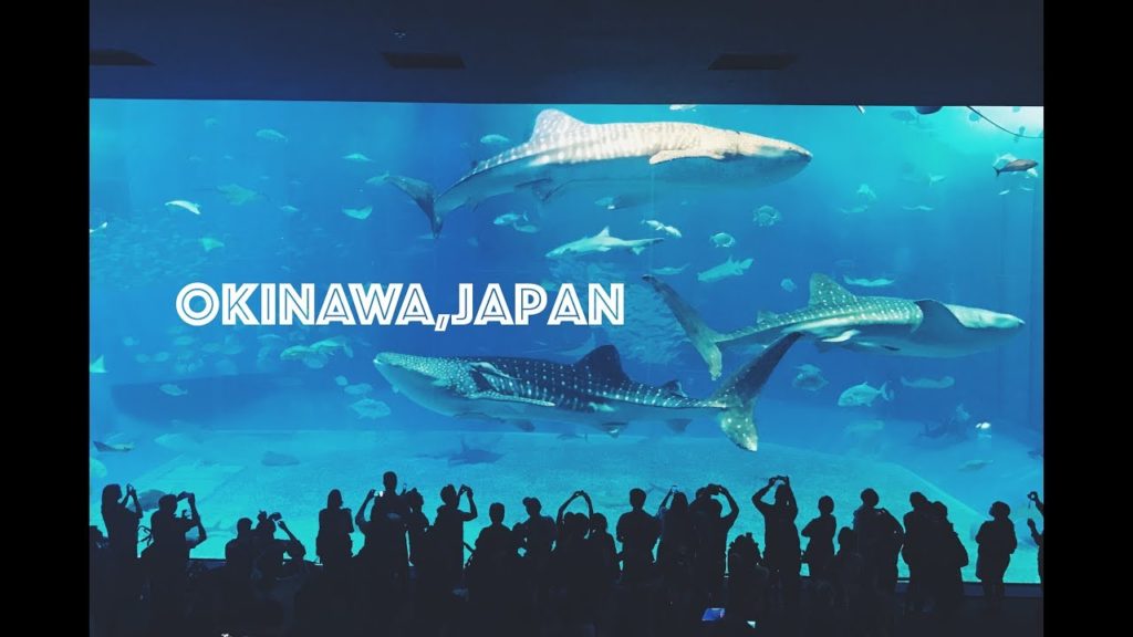 Okinawa, Japan | 日本沖繩 2016