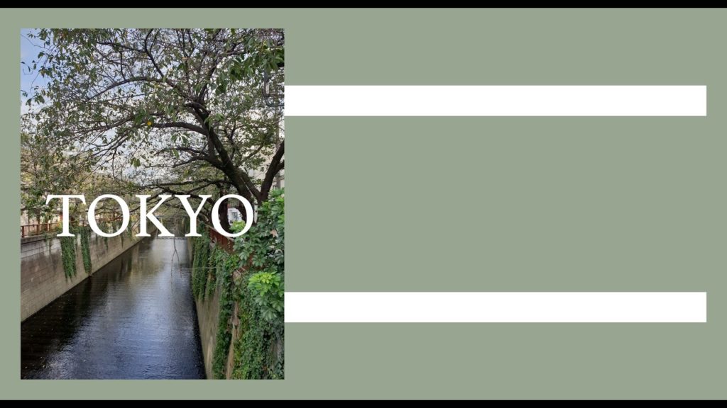 TOKYO: Shimokitazawa, Harajuku, Asakusa, Akihabara, Ginza.