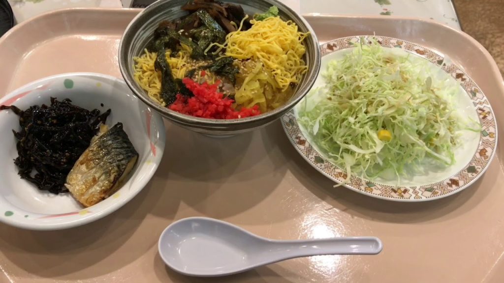 Kagoshima 2017 - 1-20 Kagoshima airport chicken rice 鹿兒島空港大空食堂