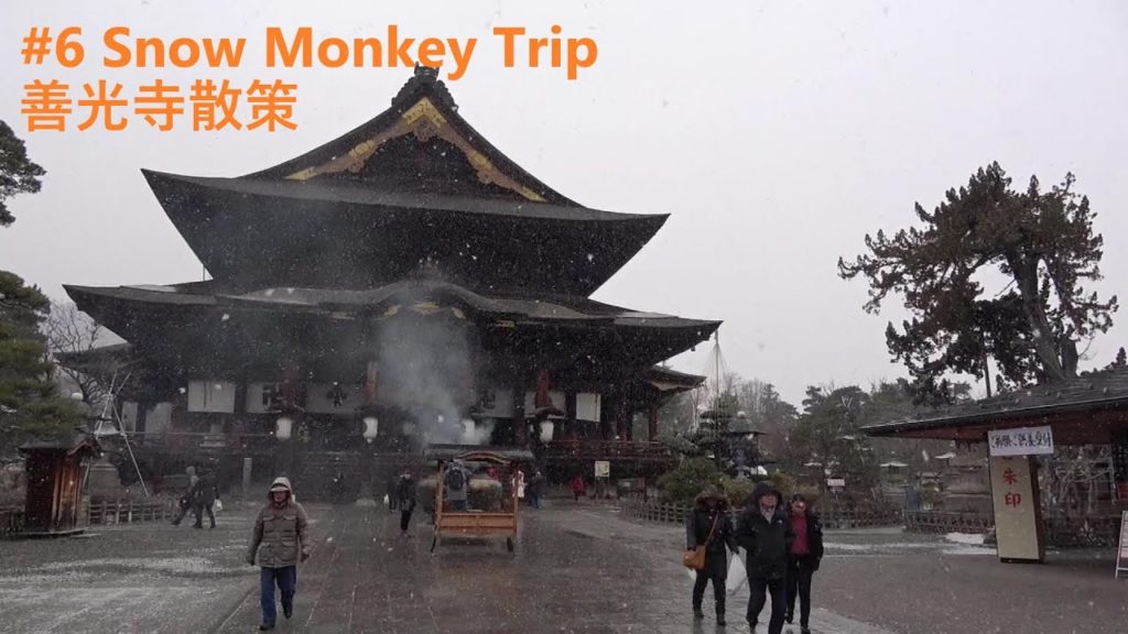NAGANO Trip#6 Zenkouji Temple(善光寺編) 1/20 8:30 NAGANO Trip#6 Zenkouji Temple(善光寺編) 1/20 8:30