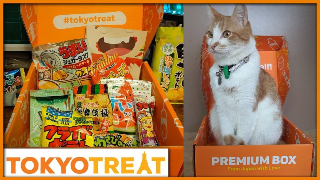 September Tokyo Treat Unboxing + Japan Trip footage! September Tokyo Treat Unboxing + Japan Trip footage!