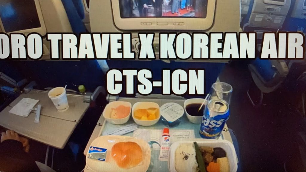 SAPPORO TRAVEL X KOREAN AIR KE766 CTS-ICN VlOG