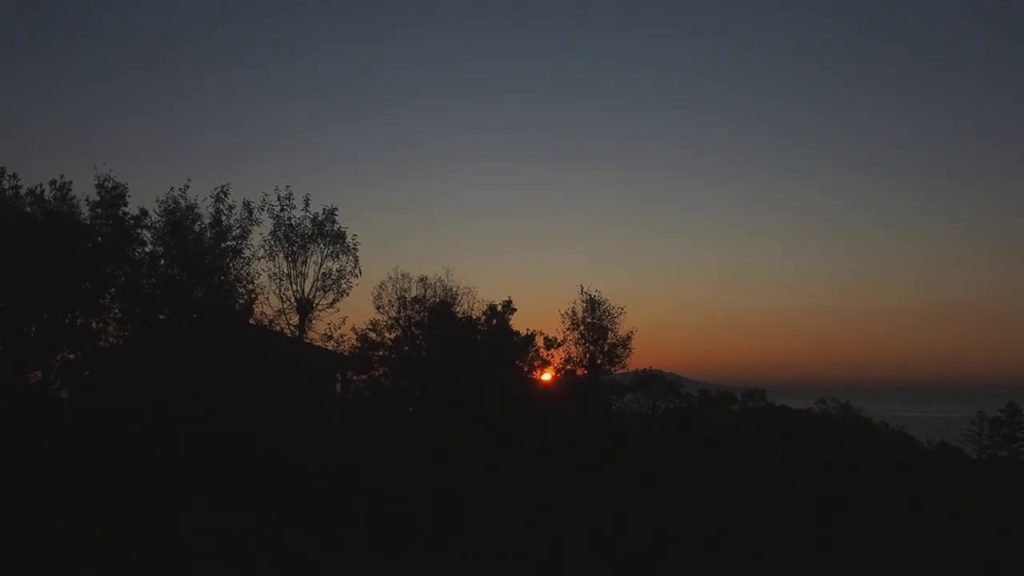 伊豆温泉旅館 大室の社 玉翠 ルームツアー 源泉掛け流し個室露天風呂付き！