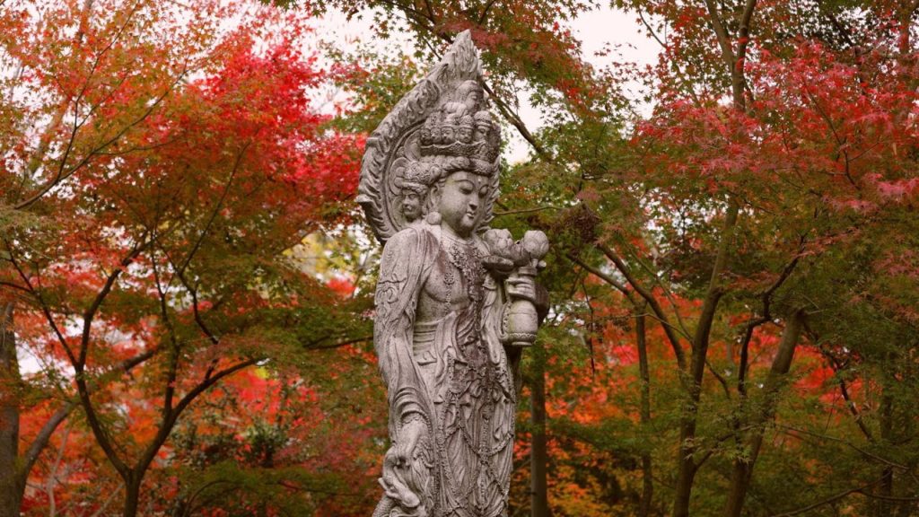 永観堂の紅葉 京都 Eikando Zenrinji Kyoto🍁Autumn Leaves🍁京都紅葉