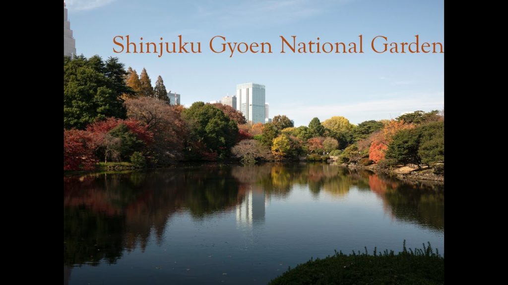 Autumn in Shinjuku Gyoen Tokyo
