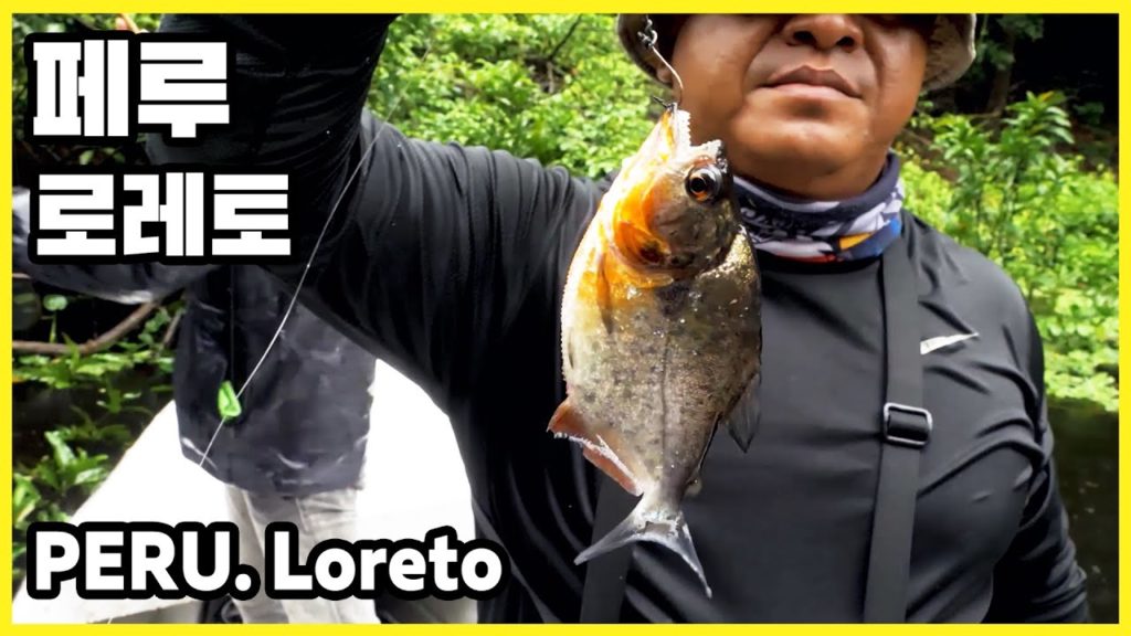 남미 최고의 여행! 페루_1월 20일 마을, 핑크 돌고래, 피라냐 낚시 남미 최고의 여행! 페루_1월 20일 마을, 핑크 돌고래, 피라냐 낚시