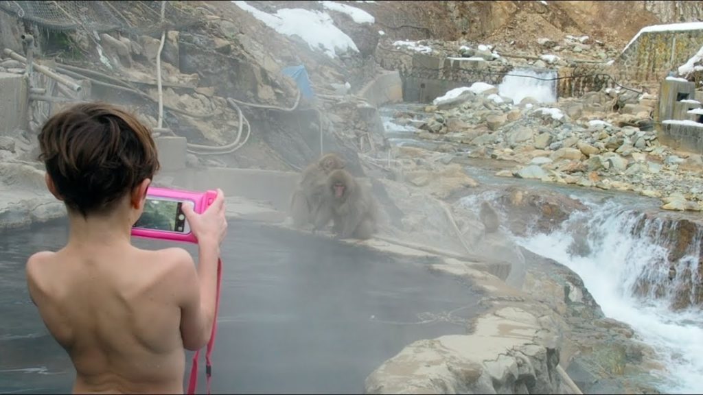 Snow Monkey Park, Nagano, Japan