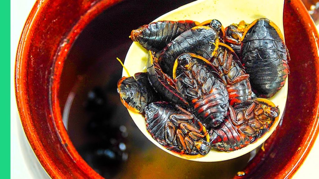 Chinese Cockroach Soup!! Exotic Food Tour in Hong Kong!!! Chinese Cockroach Soup!! Exotic Food Tour in Hong Kong!!!