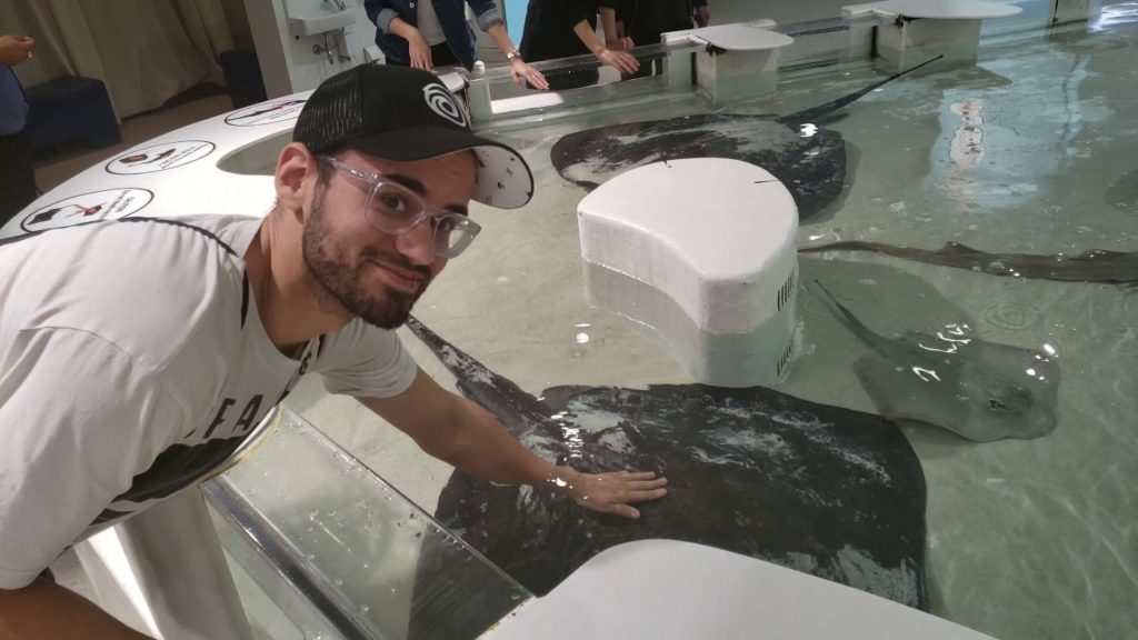 Japan Trip (2018) - Final Chapter: Osaka (4K 60FPS)