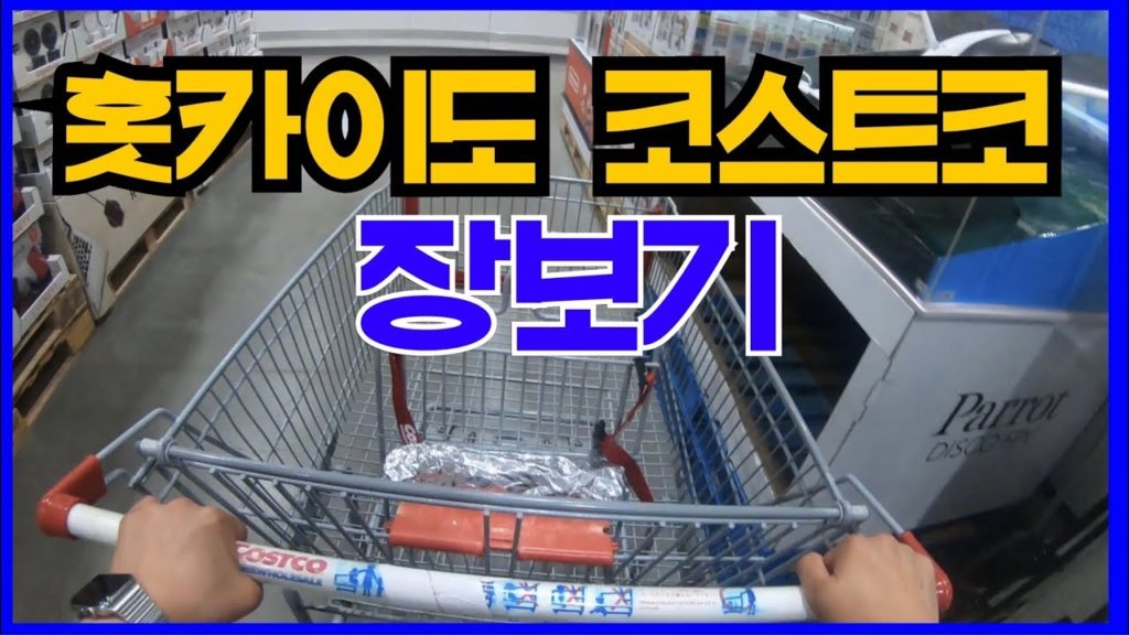 삿포로 직장인 VLOG I  홋카이도 코스트코는 다를까?