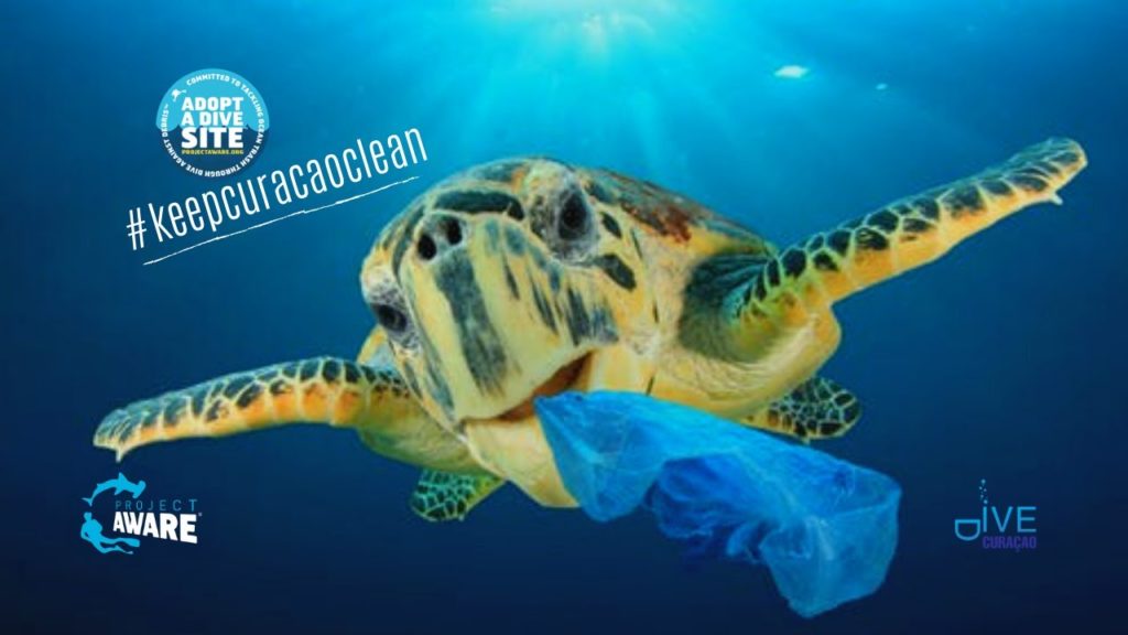 Sustainable Tourism Curacao | Project AWARE Adopt a Dive Site Initiative | Dive Curacao