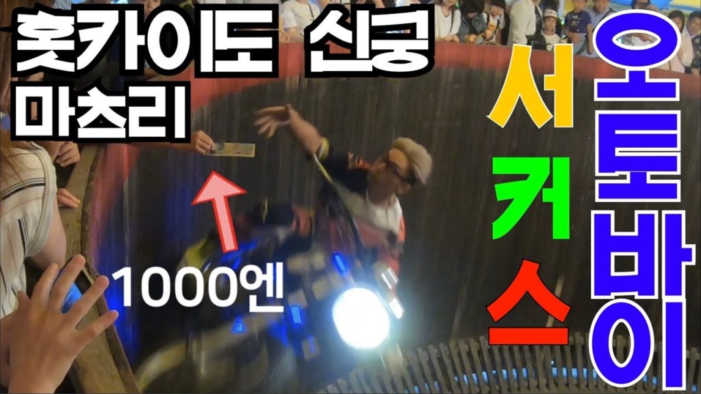 삿포로 직장인 VLOG I 2019 홋카이도 신궁 마츠리에 가봤습니다.