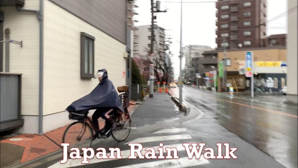 Japan Rain Walk 2019.03.04 Tokyo Suburb by tkviper.com