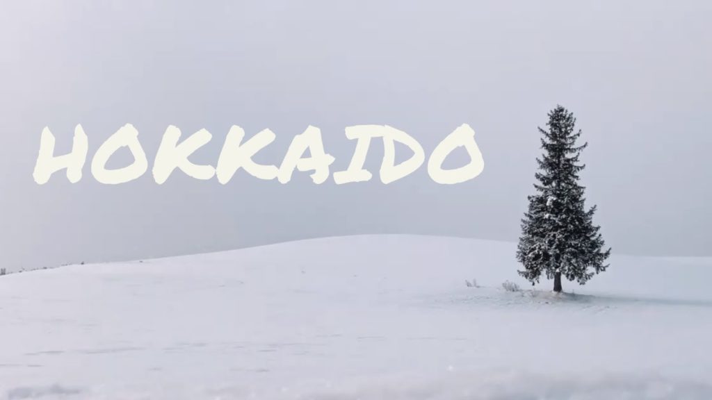 Hokkaido Winter in 4 minutes | Japan Travel Vlog