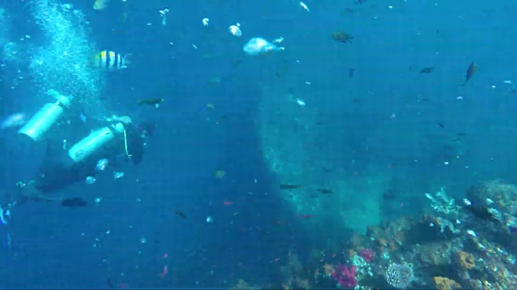 Scuba diving in bali