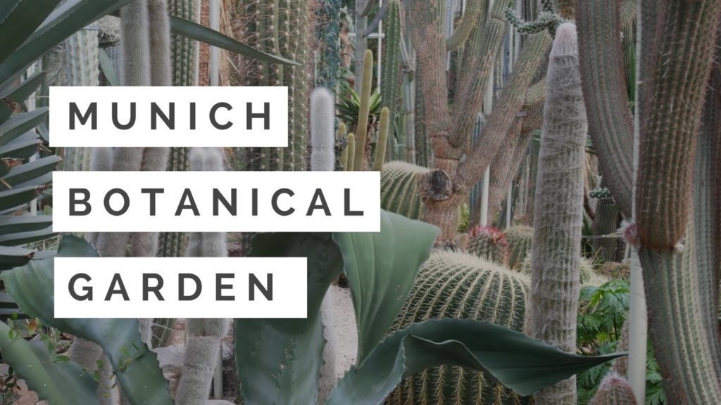 Munich Botanical Garden - Travel Germany 4K