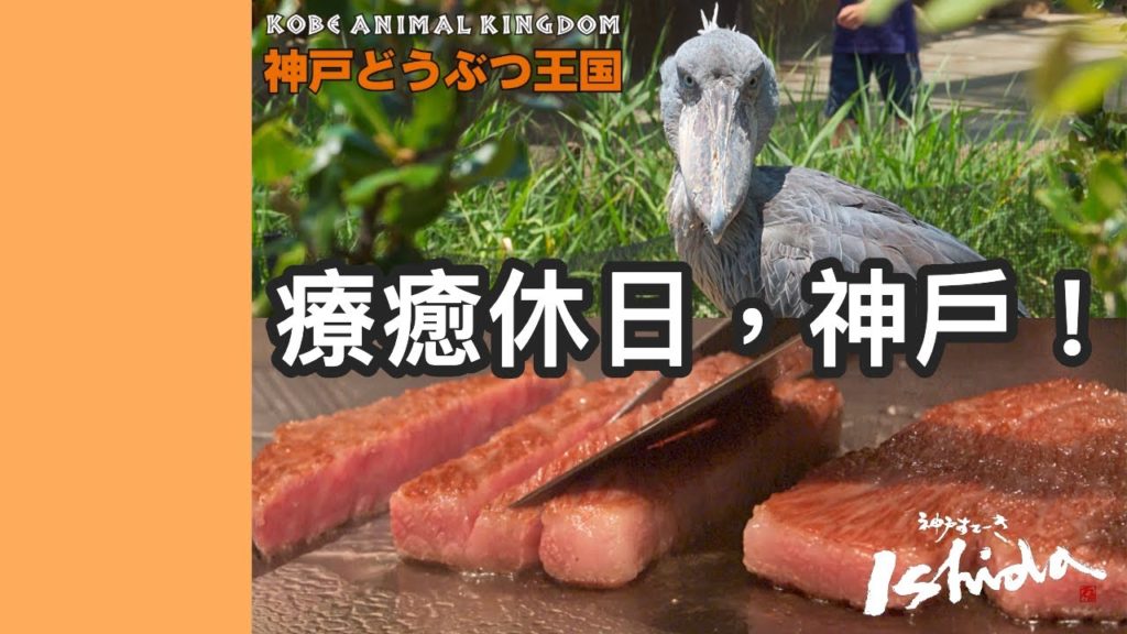 【Travel Vlog】療癒休日，神戶！計畫一天旅程讓超萌動物和頂級A5神戶和牛來療癒你的身心靈！