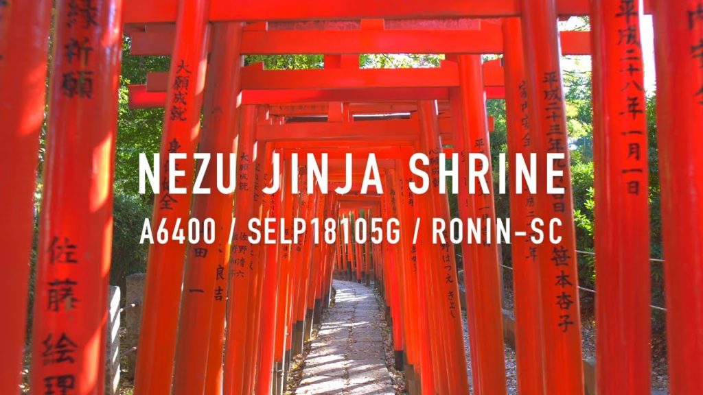 Sony | a6400 | SELP18105G | RONIN-SC | 根津神社 | Nezu Jinja Shrine | TOKYO TRAVEL