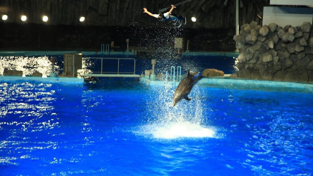 名古屋港水族館～ショーのレベルが高い水族館～ PORT OF NAGOYA PUBLIC AQUARIUM