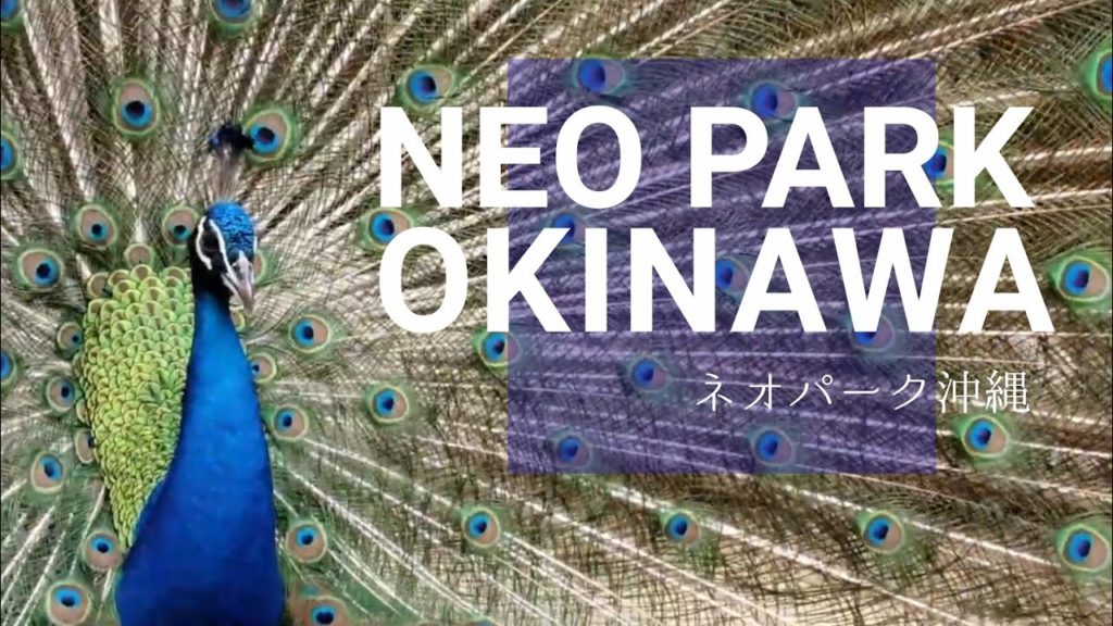 OKINAWA Travel Blog【沖縄名護ネオパーク編】JAPAN OKINAWA Travel Blog【沖縄名護ネオパーク編】JAPAN