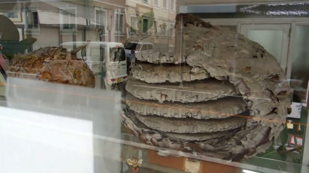 100 Year Old Honey Shop in Japan