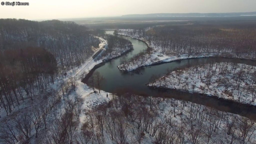 マルチコプター ４K 空撮 北海道 釧路湿原 冬 Aerial movie above Kushiro Shitsugen National Park Hokkaido, Japan