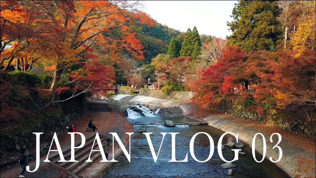 Japan Vlog Ep 3 -  Flying drone in amazing Autumn foliage