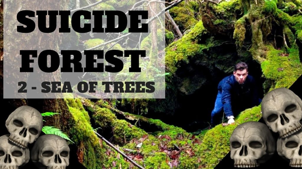 Hidden Caves in The Suicide Forest 青木ヶ原 廃墟 城市废墟探险