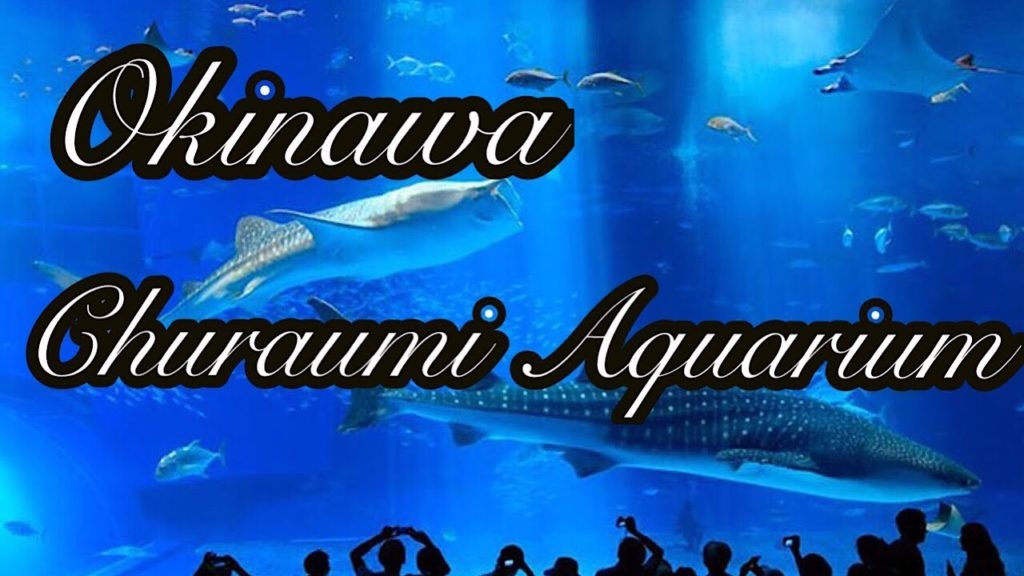 Okinawa Churaumi Aquarium /Japan's Aquarium