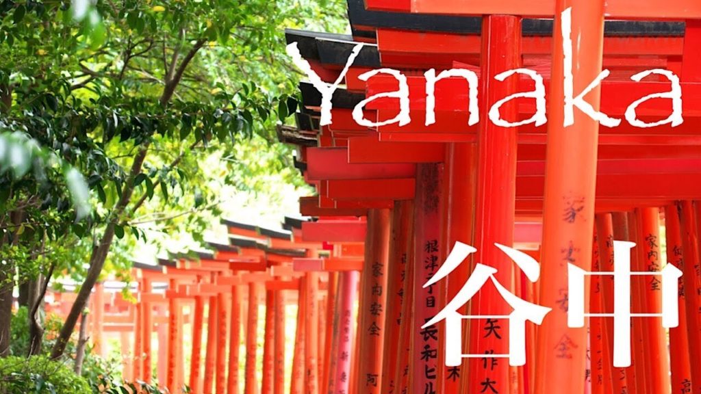 Yanaka Travel Guide /🇯🇵Tokyo travel  Guide