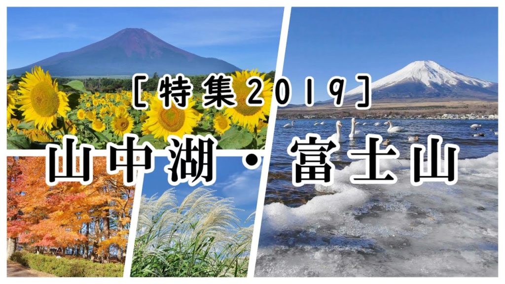 2019年 総集編 [3] 山中湖と富士山の四季 [4K] #Yamanakako #MtFuji #FourSeasons