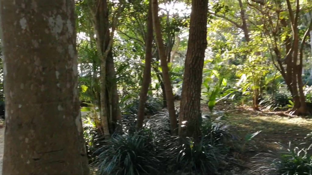 沖縄 那覇市　識名園（しきなえん）琉球王家最大の別邸【５】　遊歩道から観た市街地の眺望　（City view from the promenade, Shikinaen, Naha City）