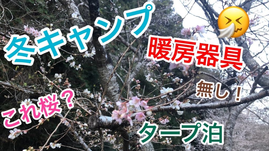 【キャンプ】無料キャンプ場で冬キャンプ