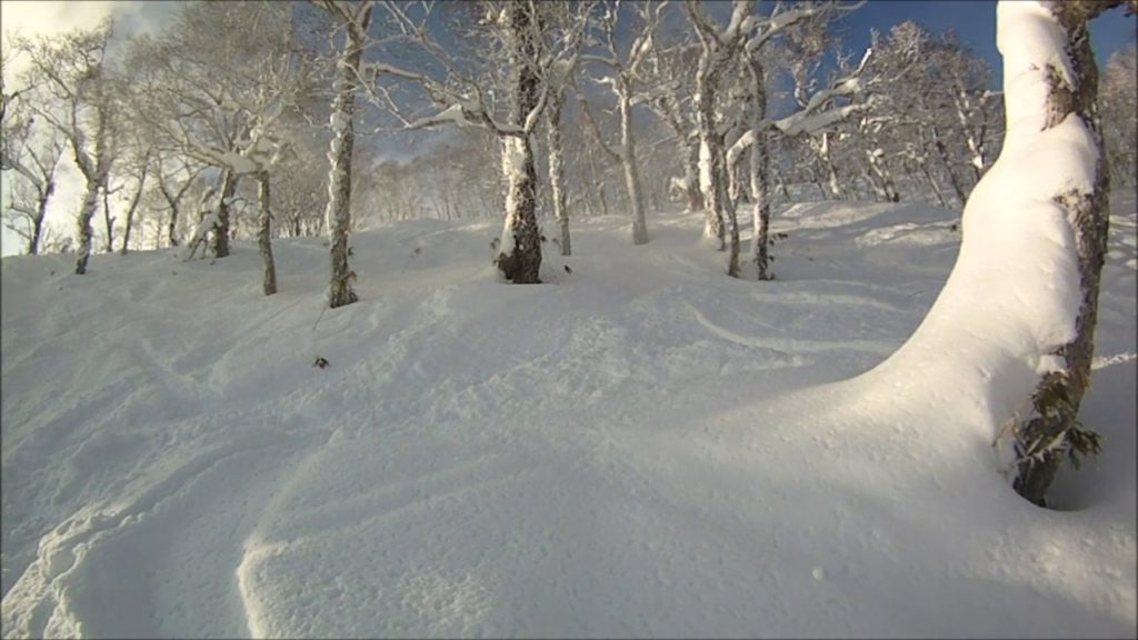 「北海道スキー」Rusutsu Ski Hokkaido 2017 1 26 林間