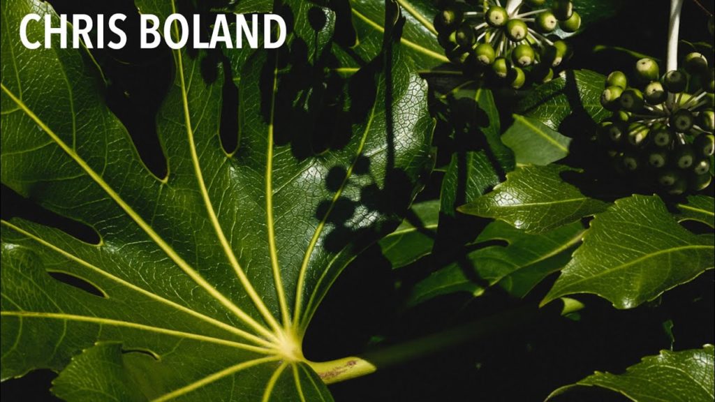 Review – Fujifilm 80mm Macro Lens. With sample pictures. Review - Fujifilm 80mm Macro Lens. With sample pictures.