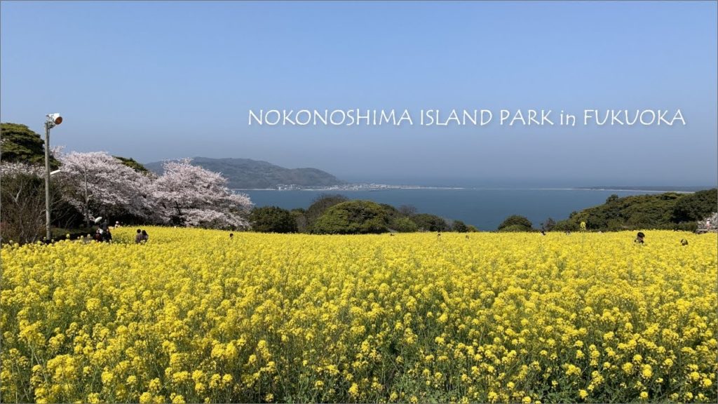 What to do in Fukuoka: Nokonoshima Island Park