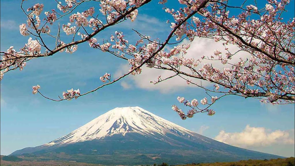 How to enjoy Japan Cherry Blossoms 2019 (Yokohama and Tokyo)