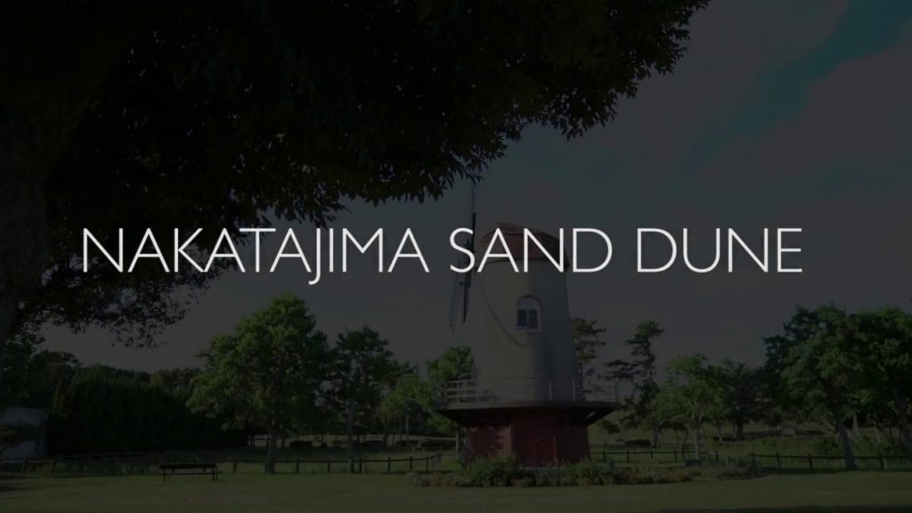 #中田島砂丘 #浜松市 #dunes #砂丘