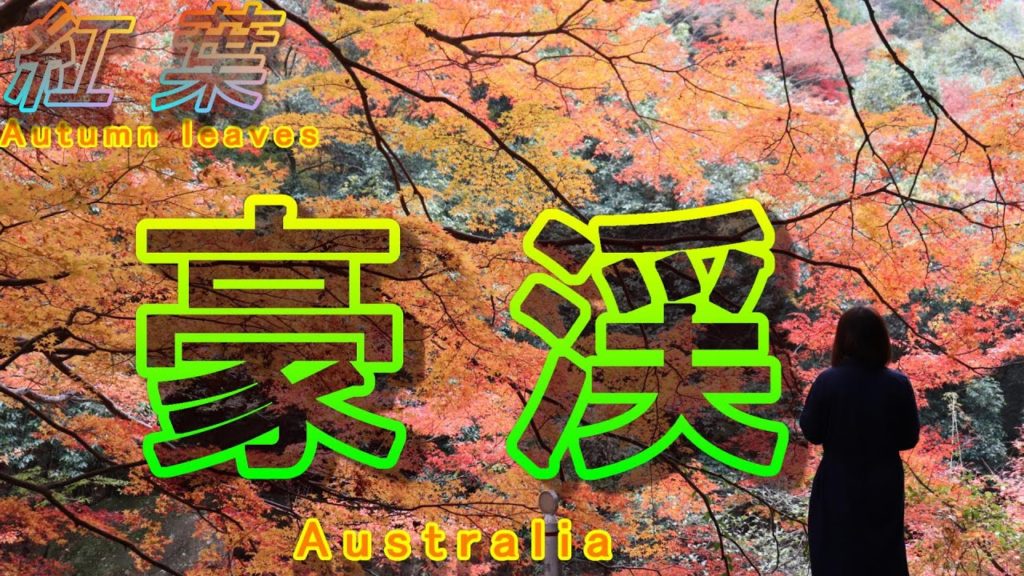 日本　岡山県　豪渓紅葉     Japan Okayama Prefecture Gokei autumn leaves