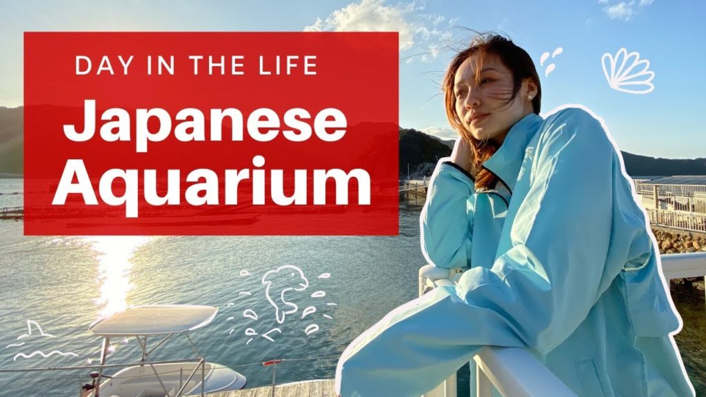 Day in the Life of Japanese Aquarium “Dolphin Island” & Pearl Store in Kyushu Day in the Life of Japanese Aquarium “Dolphin Island” & Pearl Store in Kyushu