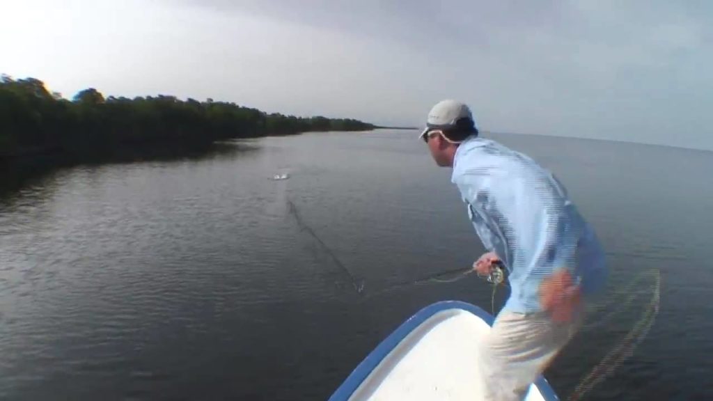 Isla del Sabalo – New Frontier Yucatan Tarpon (HD Version) Isla del Sabalo - New Frontier Yucatan Tarpon (HD Version)