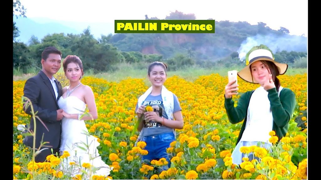 1000 Riel To Visit The Most Beautiful Marigold Flower Field with Full Blooming at Pailin Province