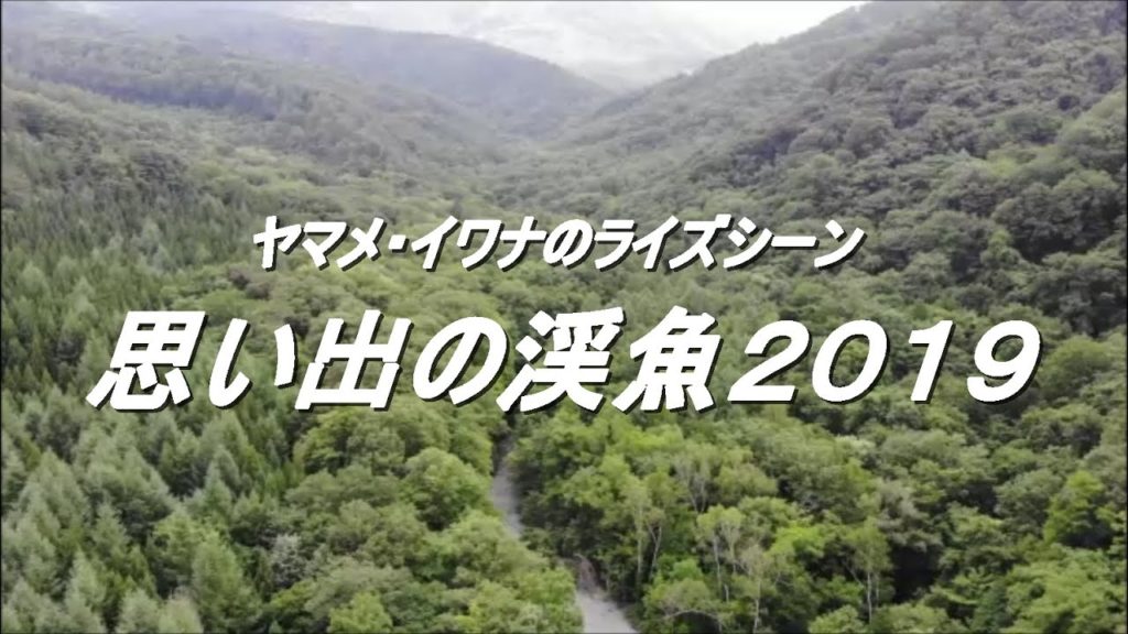 思い出の渓魚 2019 ~ｲﾜﾅ&ﾔﾏﾒ~ﾌﾗｲﾌｨｯｼﾝｸﾞ(4K) fly fishing