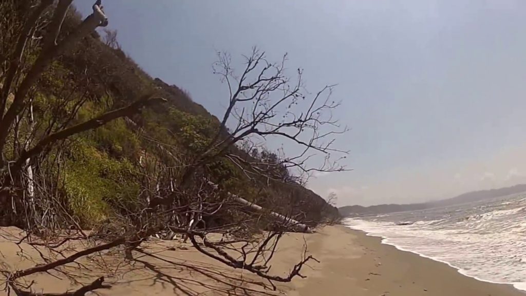 Nudist beach in Japan 10