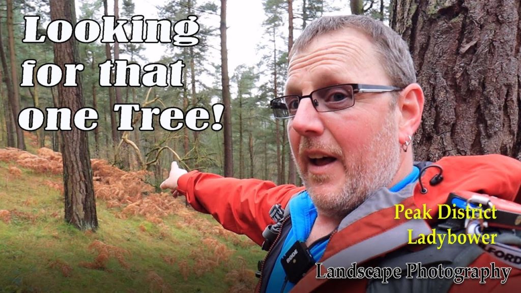 All about the Tree - Landscape Photography