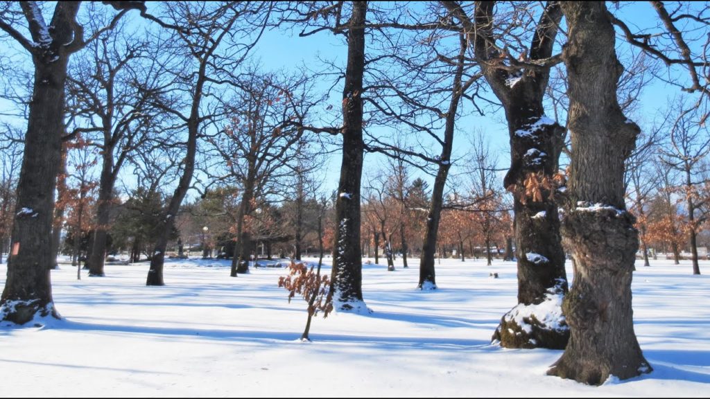 Marko's trip in Japan - Sapporo in winter